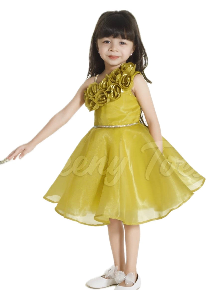 Girls Tissue Organza Party Frock